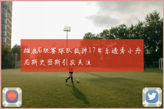 雄鹿G联赛球队裁掉17年乐透秀小丹尼斯史密斯引发关注
