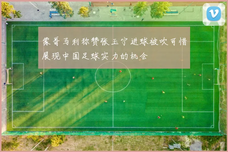 蒙哥马利称赞张玉宁进球被吹可惜展现中国足球实力的机会